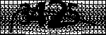 Text per identificar